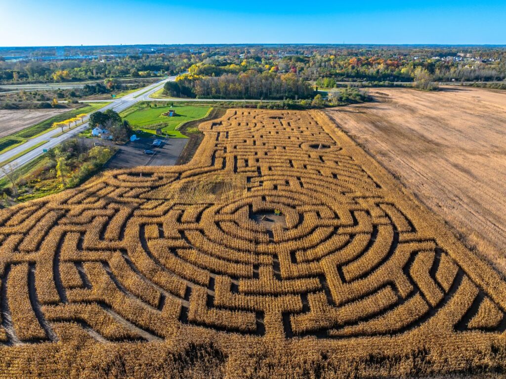 Flora Fields Kohler